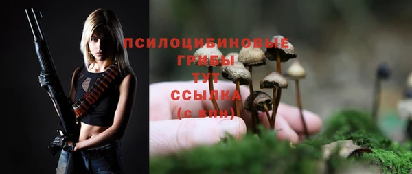 первитин Вяземский