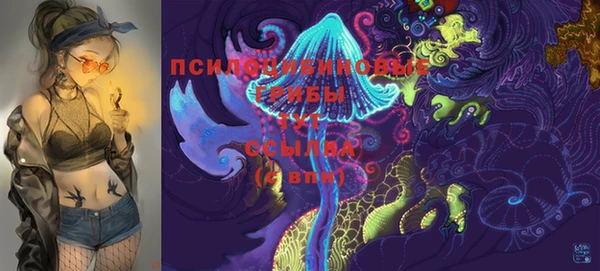 прущие крисы Вязники