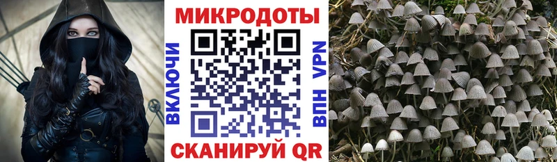 Псилоцибиновые грибы MAGIC MUSHROOMS  ссылка на мегу ссылки  Железногорск 