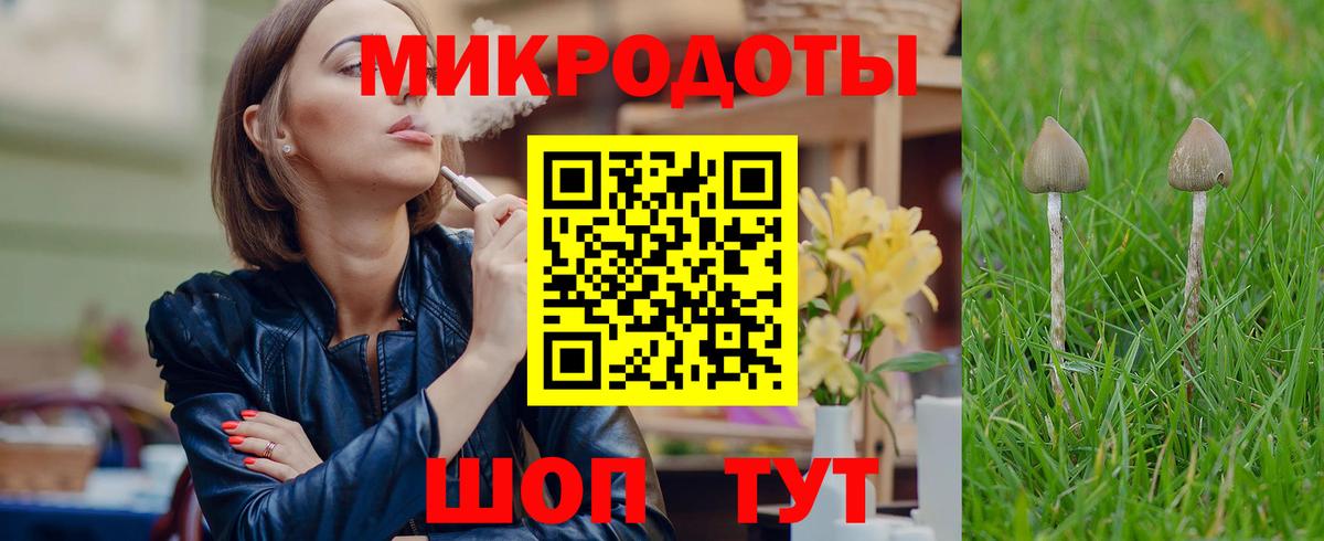 Псилоцибиновые грибы Psilocybine cubensis Железногорск