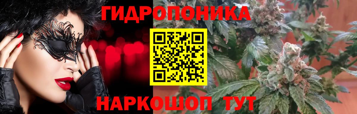 Канабис Bruce Banner  Вход с VPN  Шишки марихуана семена  Канабис семена  МАРИХУАНА планчик  Железногорск 